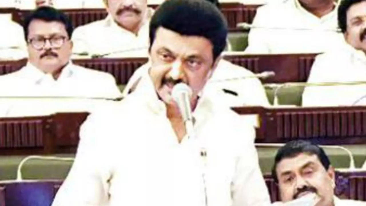Chief minister M K Stalin speaks in the assembly on Wednesday