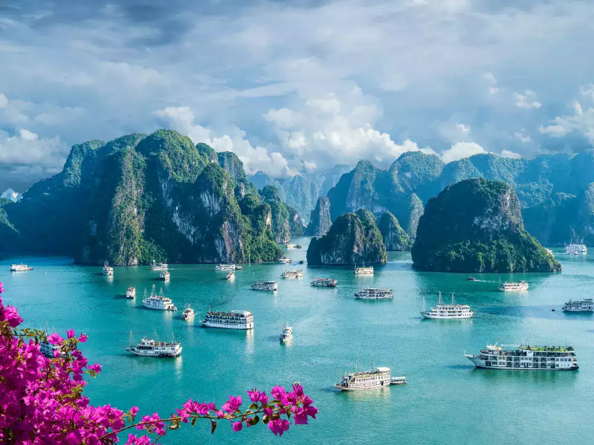 Explore the culturally rich and stunning Vietnam