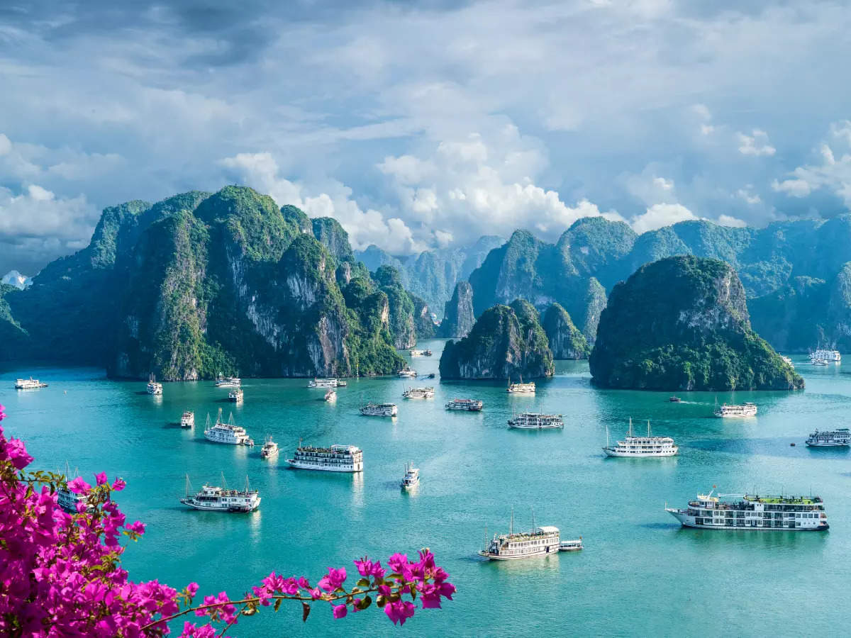 Explore the culturally rich and stunning Vietnam | Times of India Travel