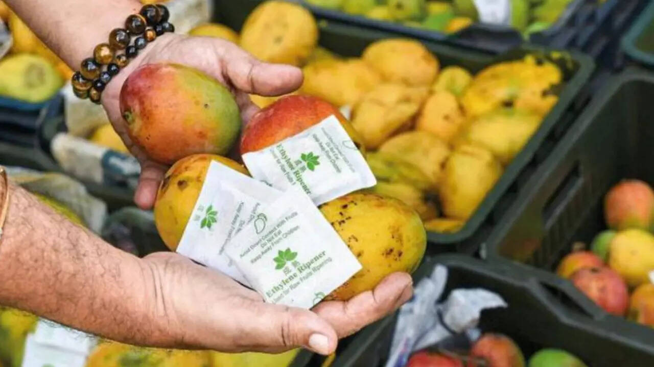 Artificially Ripened Mangoes, Avocados Seized In Koyambedu | Chennai News -  Times of India