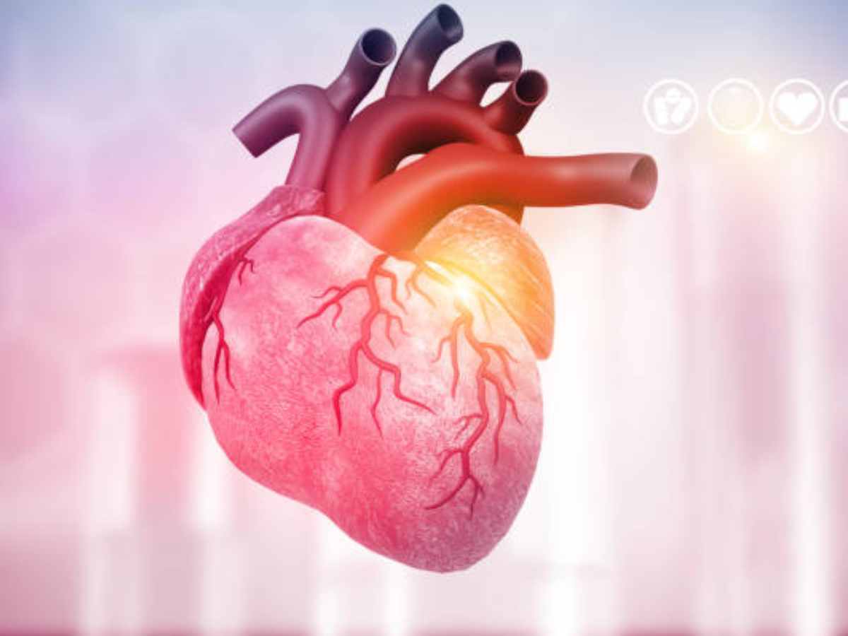 Heart age calculator: Find your heart age with this simple calculation -  Times of India