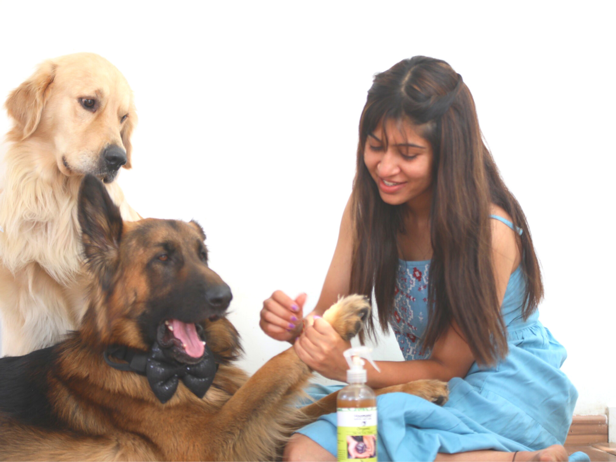 Groomed and how! India's pet parents are giving their pets a taste of luxury - Times of India