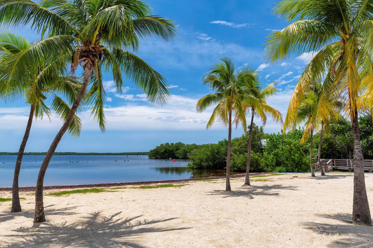 Exploring Mexico Beach town: Florida’s hidden gem prized for its rare quartz crystal sand