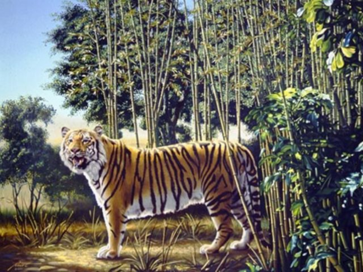 Optical illusion: Spot the hidden tiger in this image; Only 1 ...