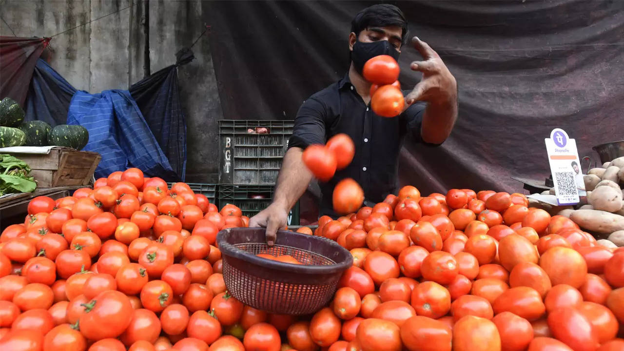 Kapel Helderheid Spookachtig Tomato Prices Hit Household Budget | Patna News - Times of India