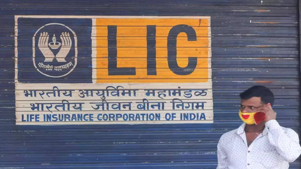Determination of embedded value 'work in progress': LIC MD - Times ...