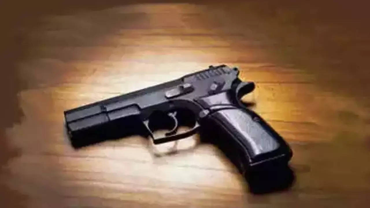 Police said that retired police official Jagaml Singh had kept his gun in an almirah behind his bed on the second floor of the farmhouse. (REpresentational image)