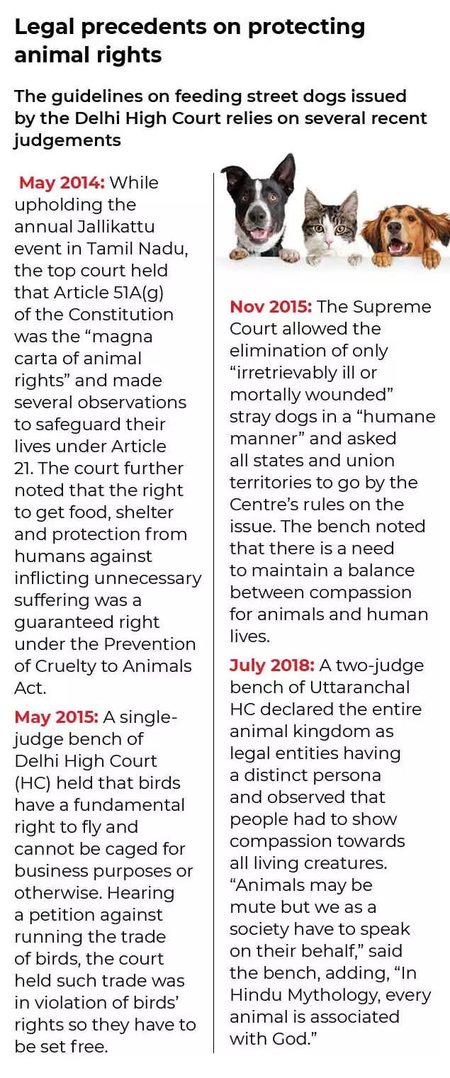 supreme court judgement on pet dogs