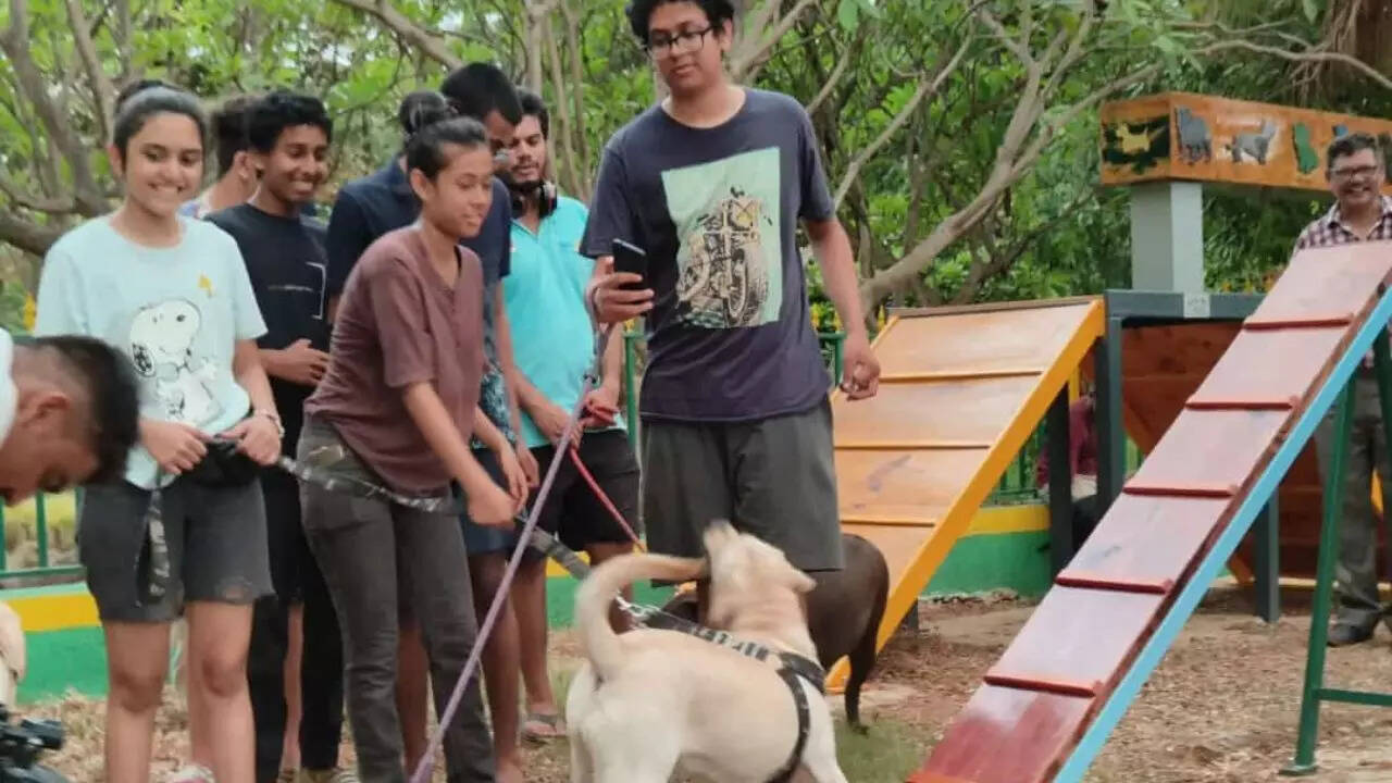 Discover 124+ necklace road dog park super hot songngunhatanh.edu.vn