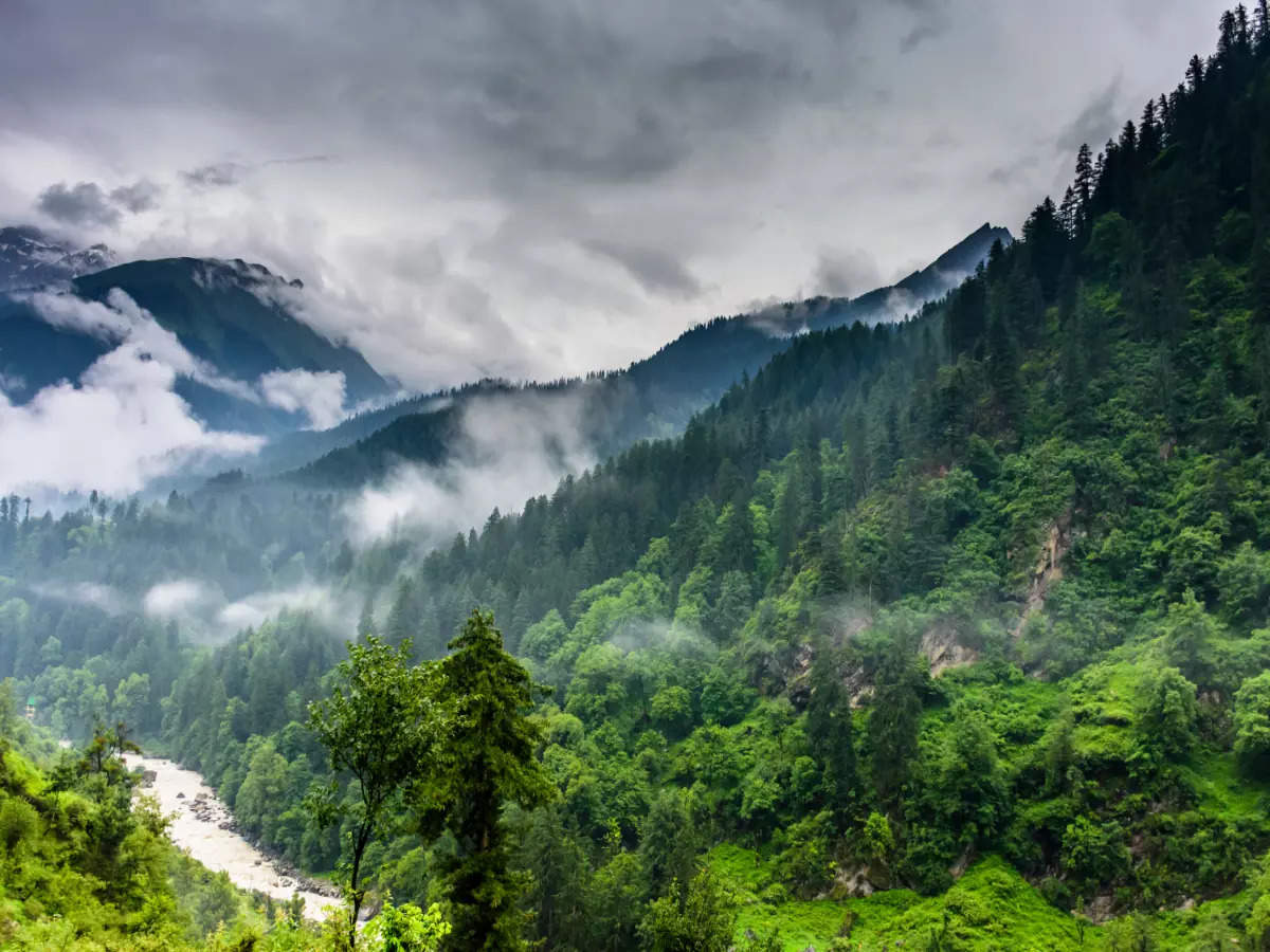 A guide to the Great Himalayan National Park | Times of India Travel