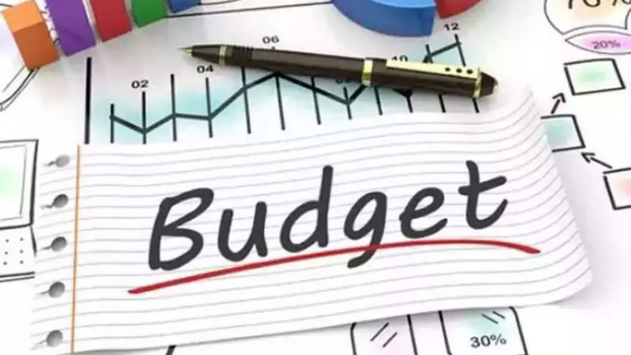 The budget estimates have been prepared after consulting all stakeholders, including citizens.