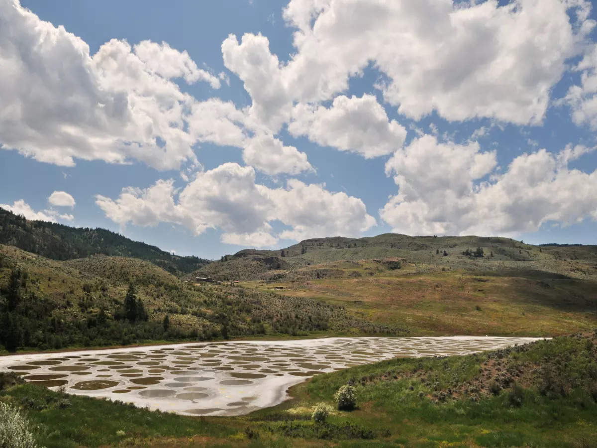 Have you been to the Spotted Lake in British Columbia, Canada?