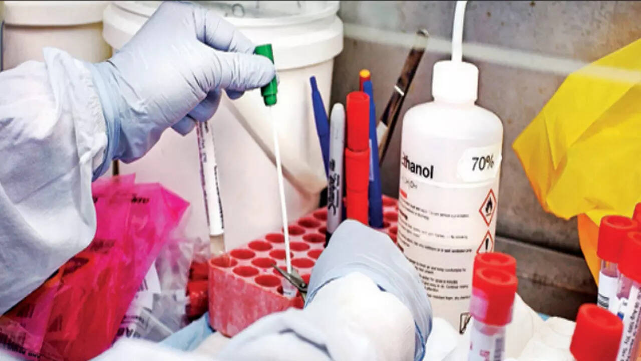 Survey Park, Kolkata Map, Property Rates, Projects, Photos, Reviews, Info