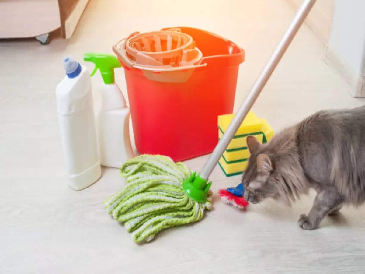 Why Traditional Floor Cleaners May be Harmful to Pets?