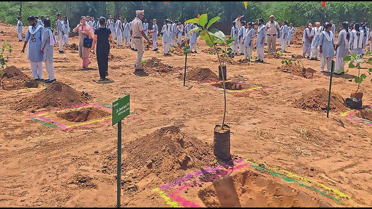 Greenfield Colony, Faridabad Map, Property Rates, Projects, Photos