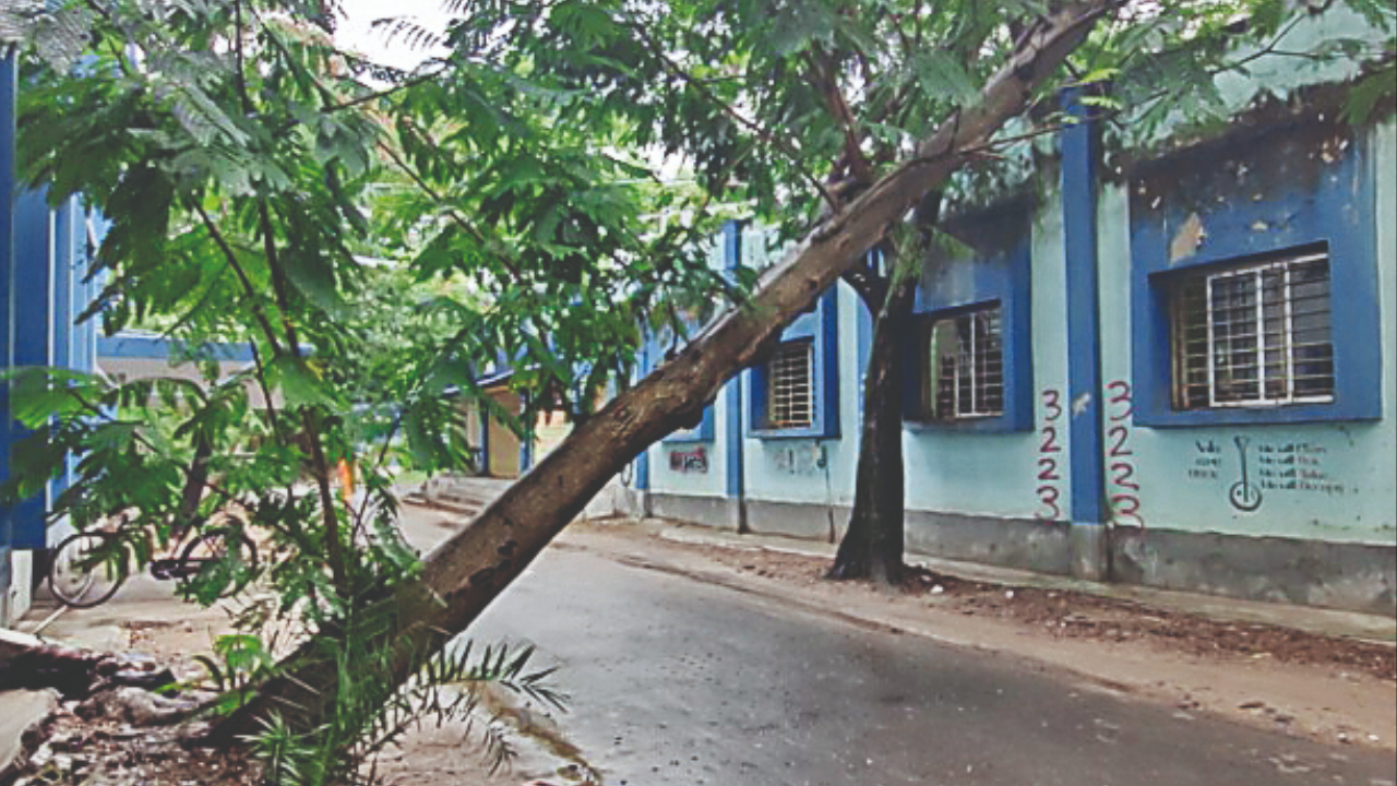 Alipore, Kolkata Map, Property Rates, Projects, Photos, Reviews, Info