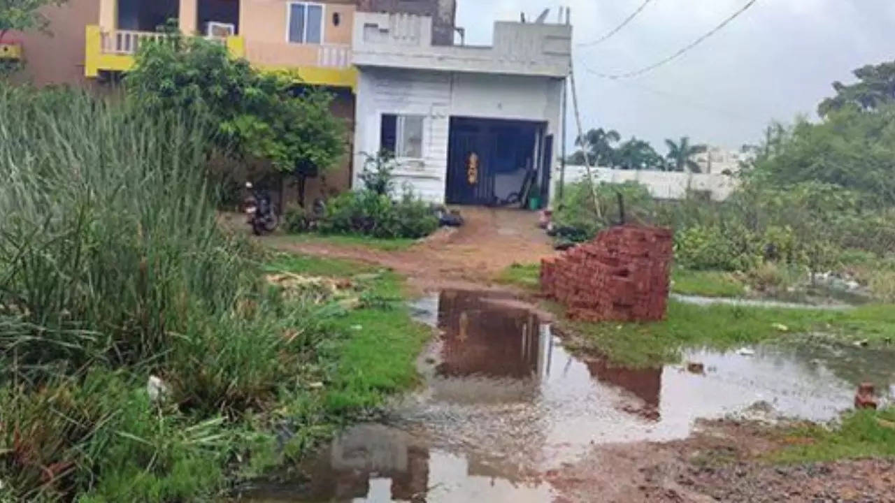 Water overflowing on a kachha road in Daya Nagar Colony