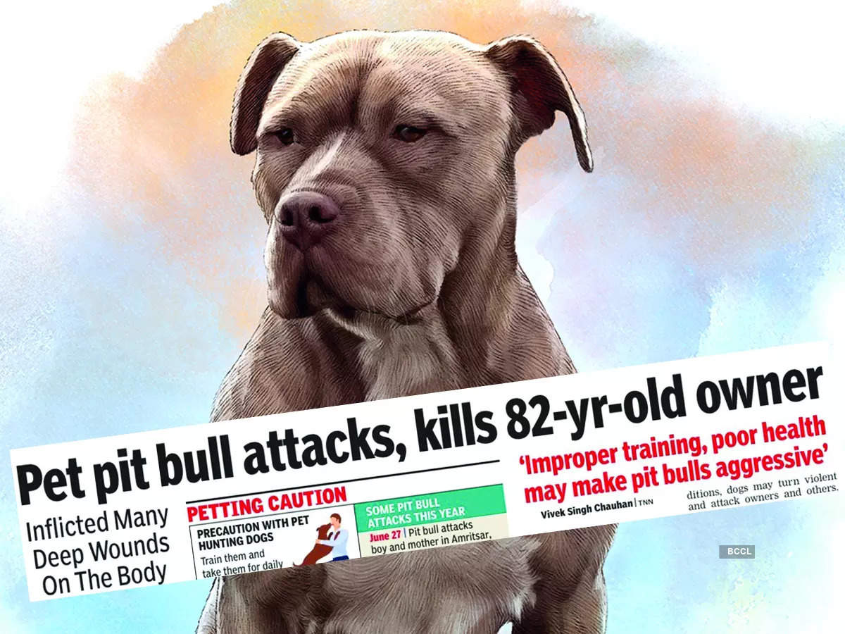 how often do pit bulls attack