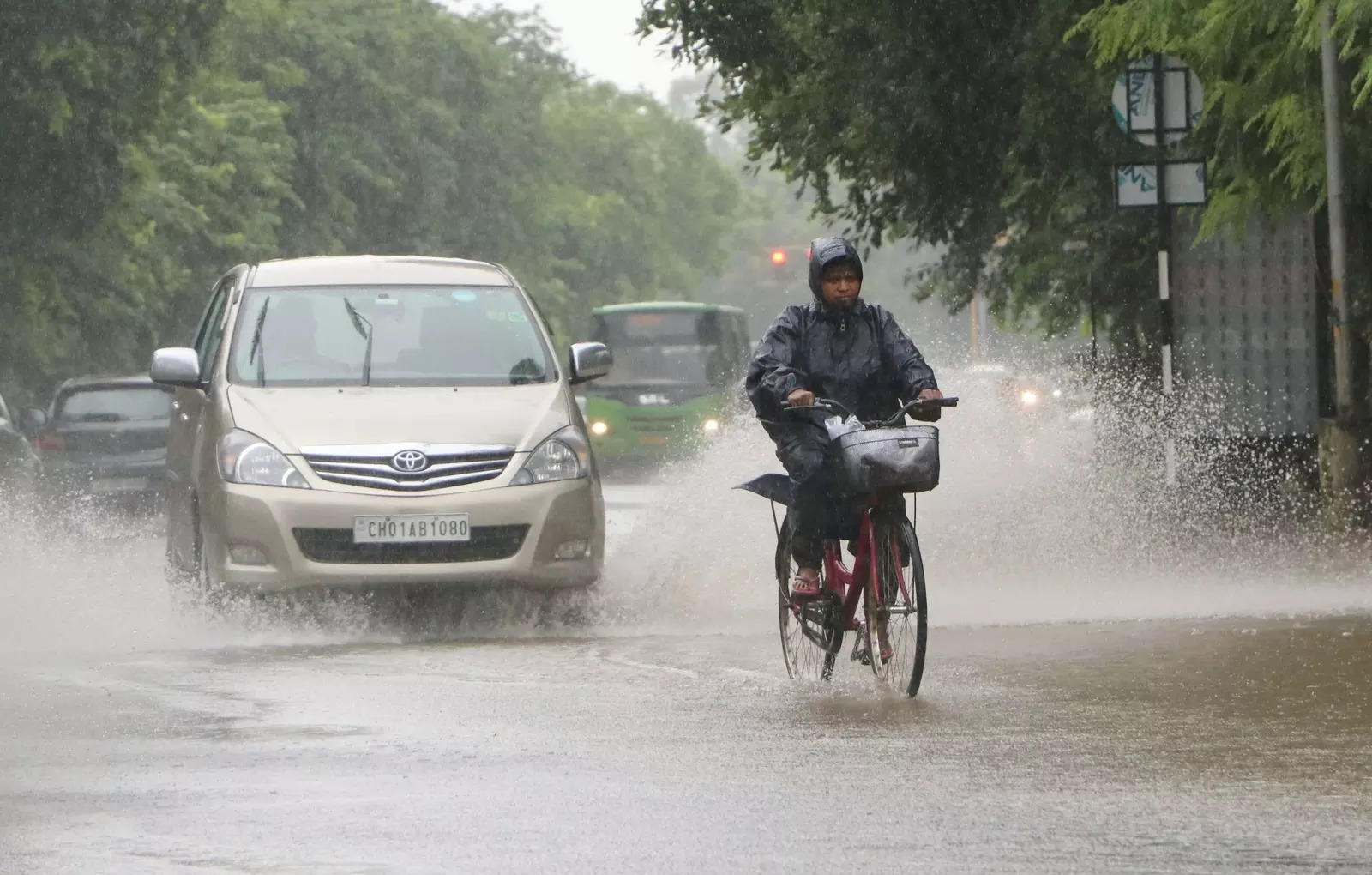 Monsoon Weather News: Most of Haryana, Punjab receive surplus rains as  monsoon picks up pace - The Times of India