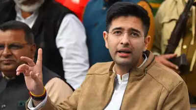 Centre hiked petrol prices 78 times in 2021-22: AAP MP Raghav ...
