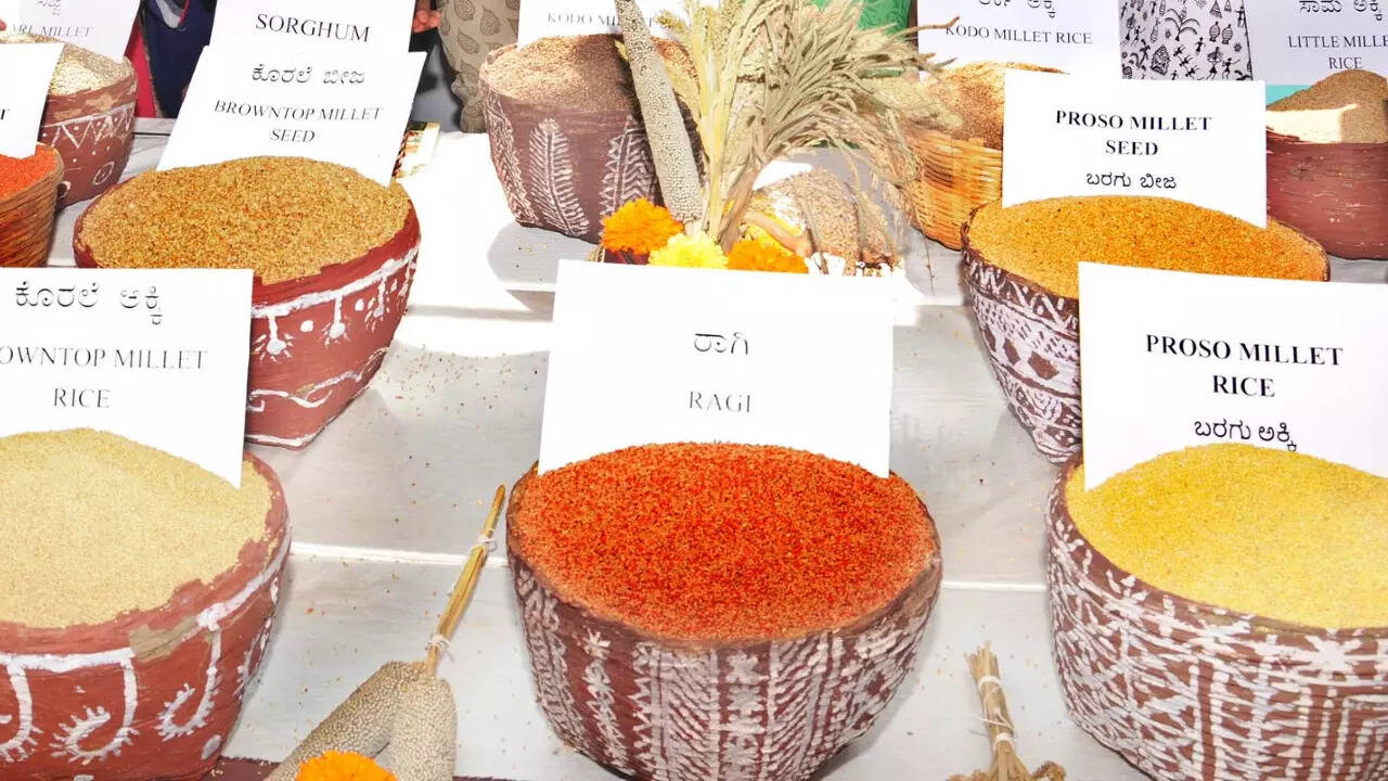 Ridmalsar Purohitan, Bikaner Map, Property Rates, Projects, Photos