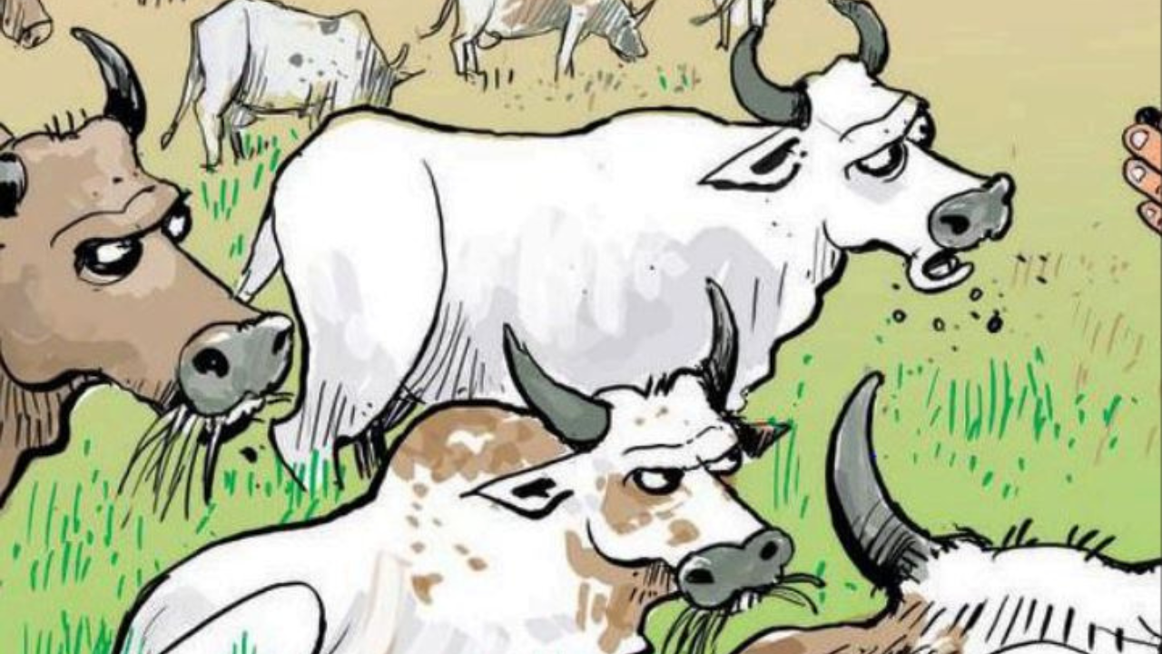 Bolt From The Blue: Lightning Strike Kills Shepherd, 50 Cattle |  Visakhapatnam News - Times of India