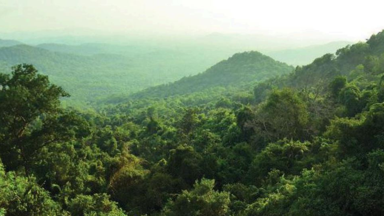 In 10-year roadmap, Vishwajit Rane plans safaris, wildlife camping ...