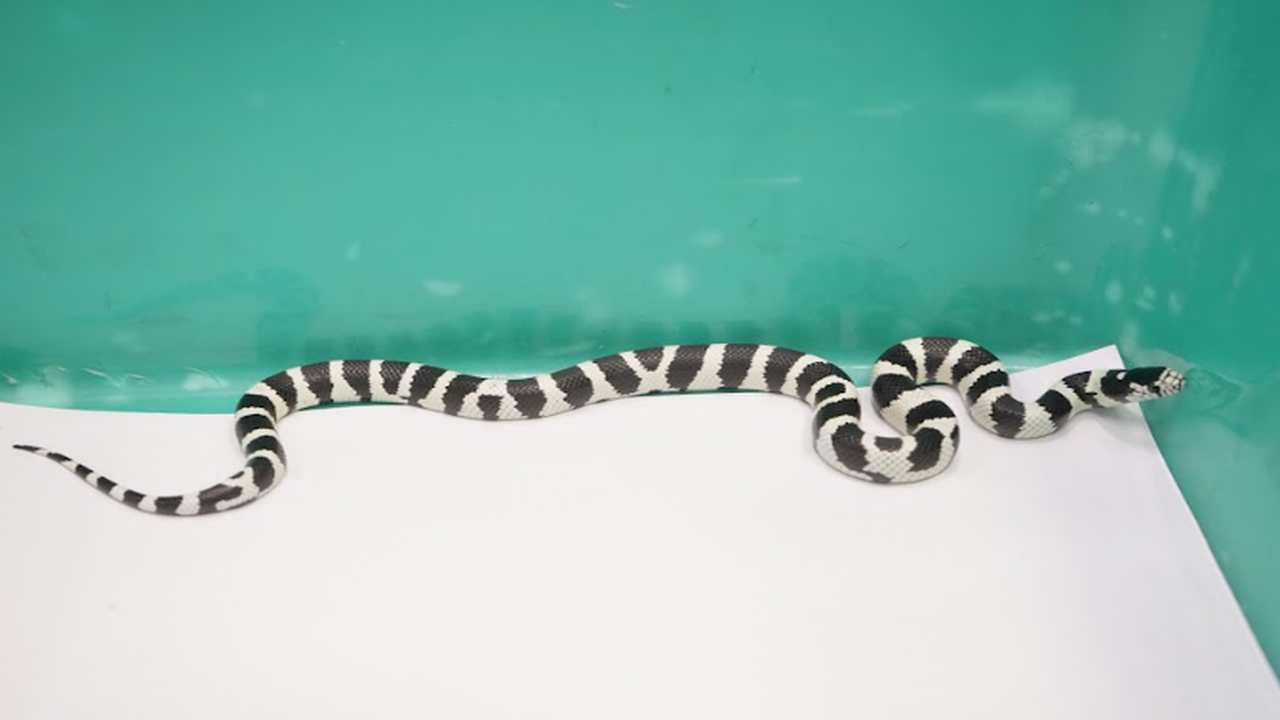 Kolathur, Chennai Map, Property Rates, Projects, Photos, Reviews, Info