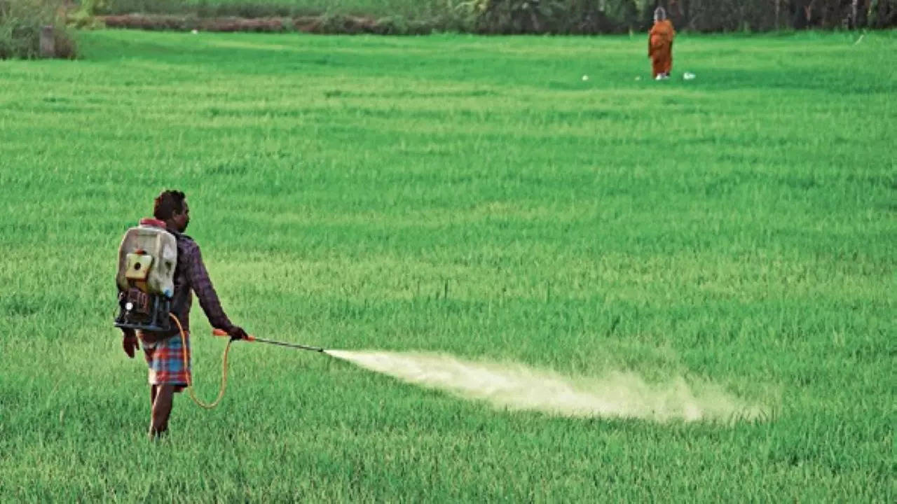  Chlorpyrifos is recommended for 15 crops, while 13 of them are not approved nationally. 