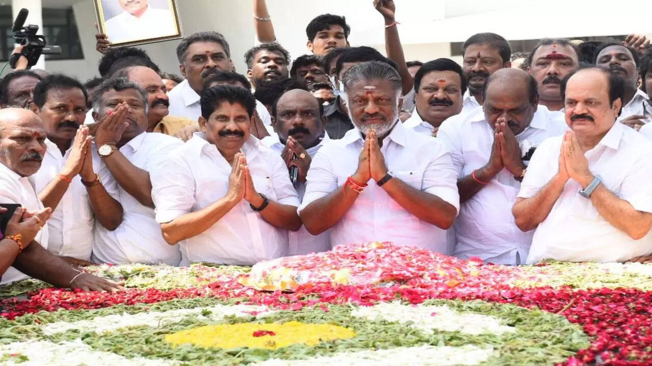 Poes Garden, Chennai Map, Property Rates, Projects, Photos, Reviews, Info