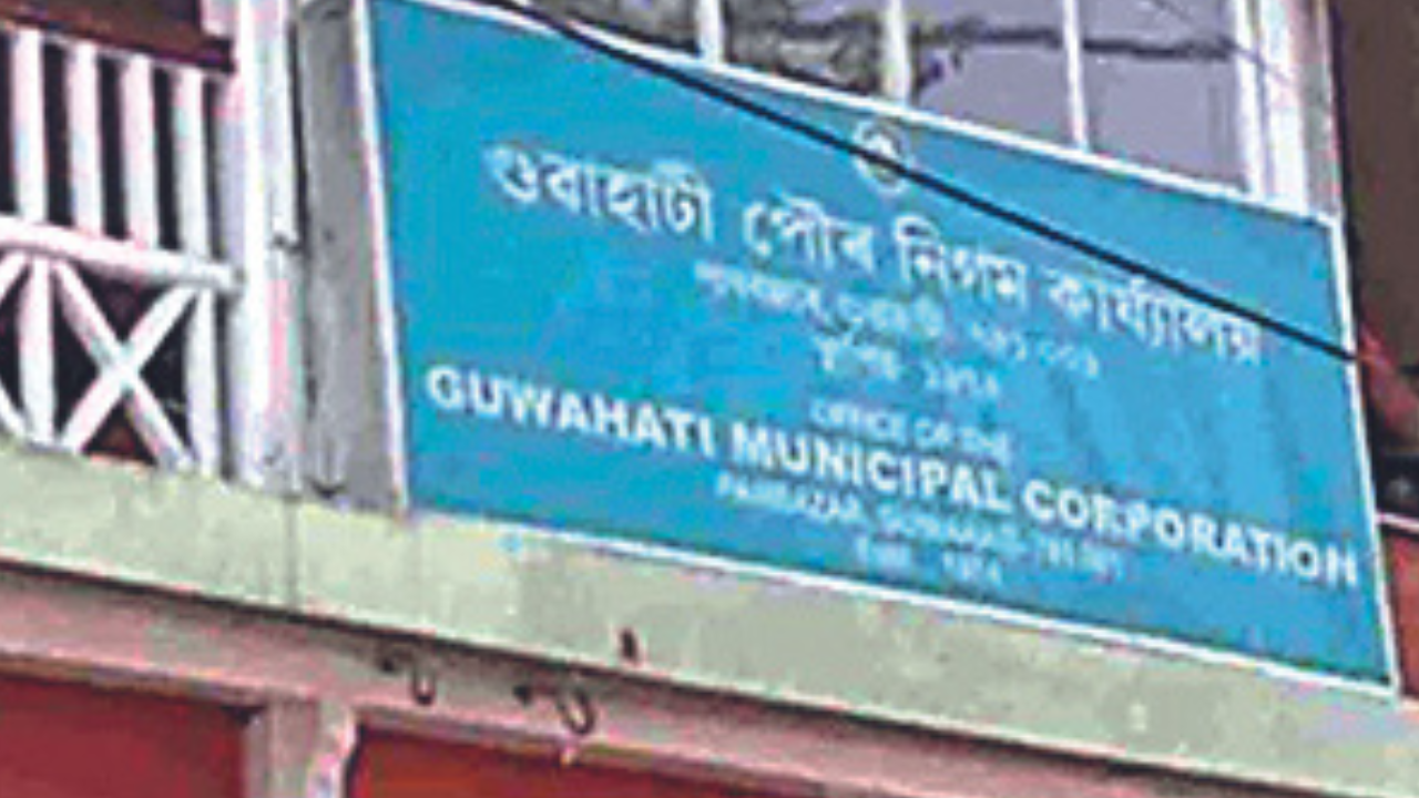 The Guwahati Municipal Corporation has till date released around Rs 20 crore for de-siltation works of drains in the city 