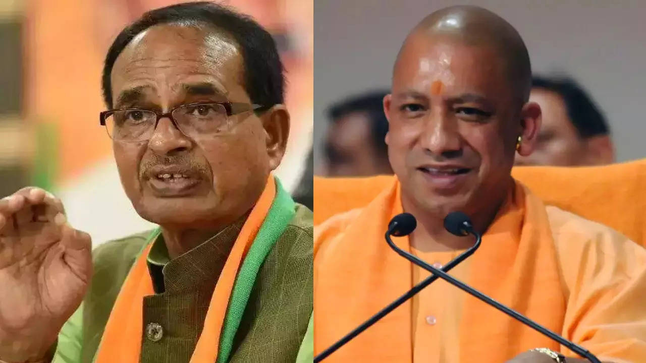 Why no CM is in BJP's new Parliamentary Board | India News - Times of India