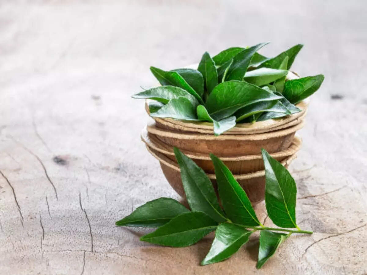 5 ways how curry leaves promote hair growth and prevent greying - Times of India 5 ways how curry leaves promote hair growth and prevent greying - Times of India