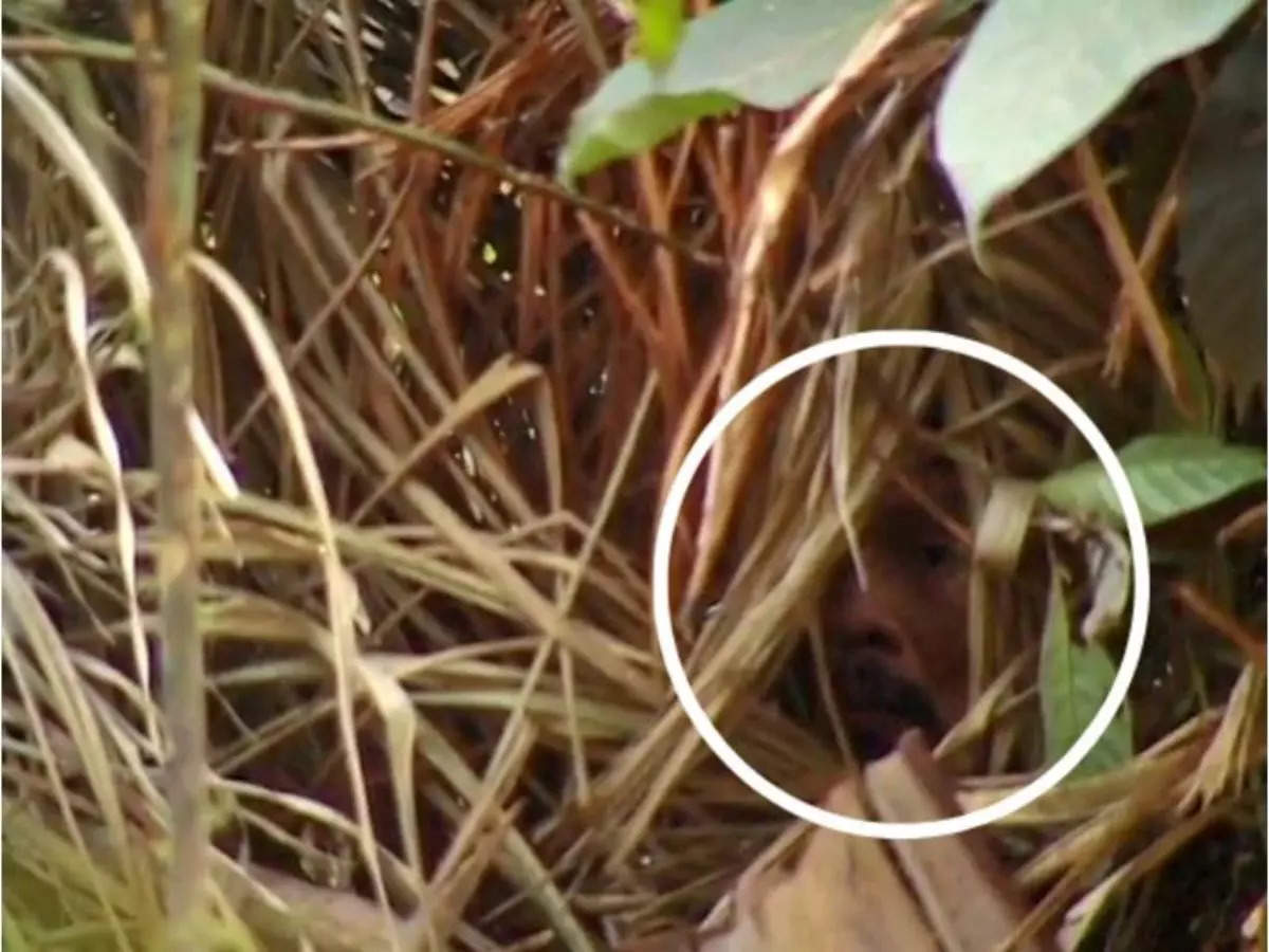 Brazil: ‘Loneliest man in the World’, the last of his tribe, is dead now!