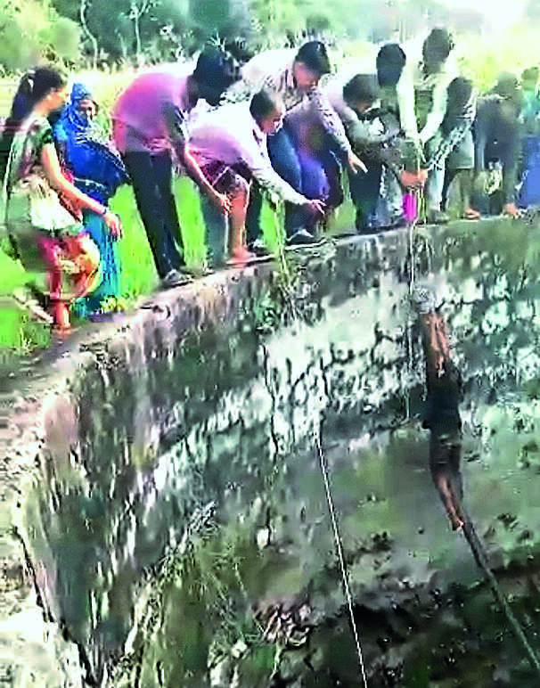 Ellora Park, Vadodara Map, Property Rates, Projects, Photos, Reviews, Info