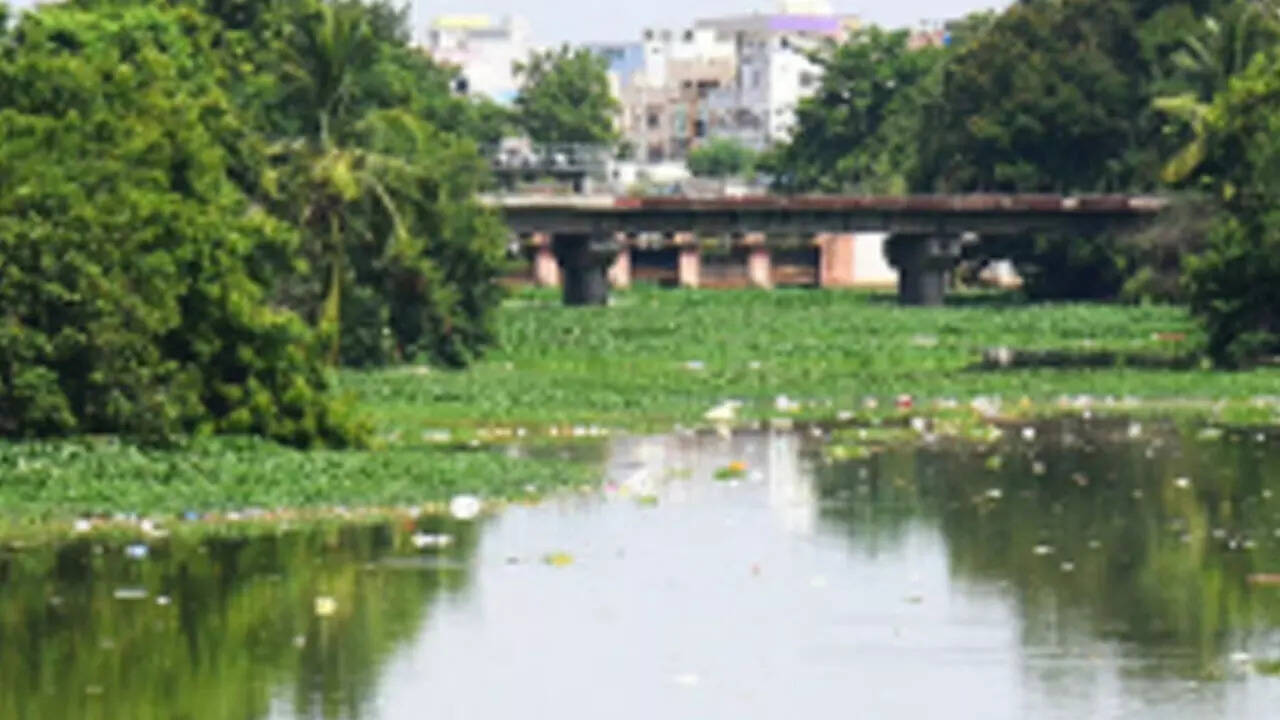 Defence Colony, Meerut Map, Property Rates, Projects, Photos, Reviews