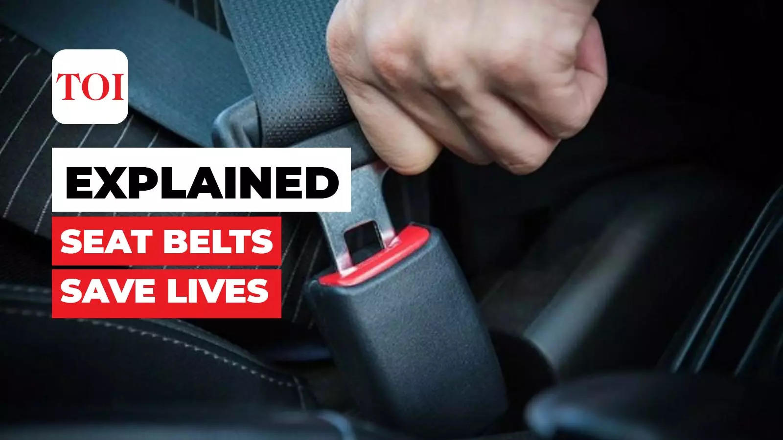 seat belts save lives true or false