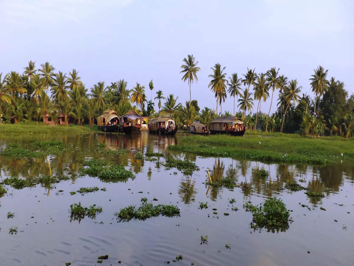 Can we save Kerala’s Vembanad Lake?