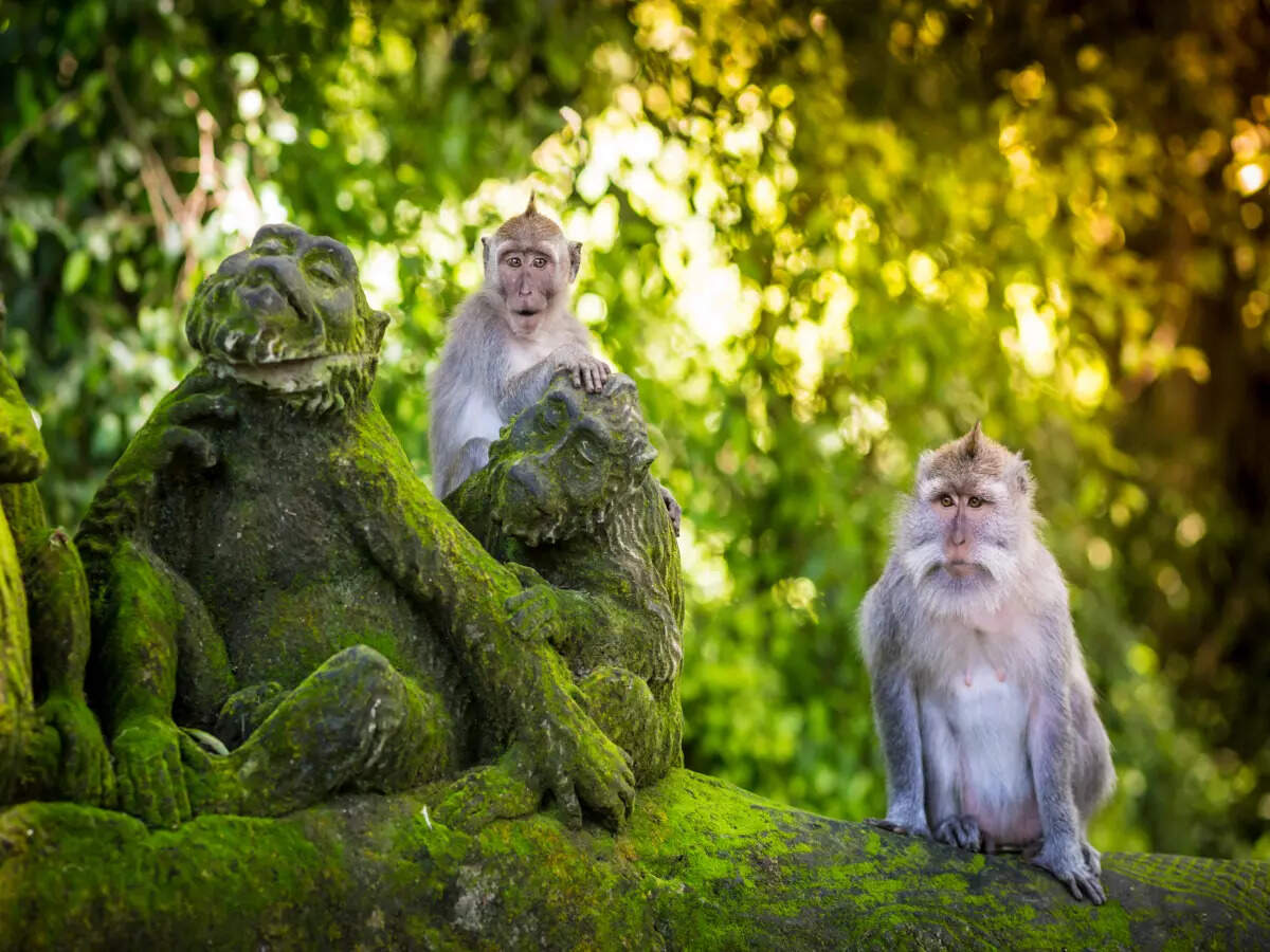 Offbeat experiences in and around Bali