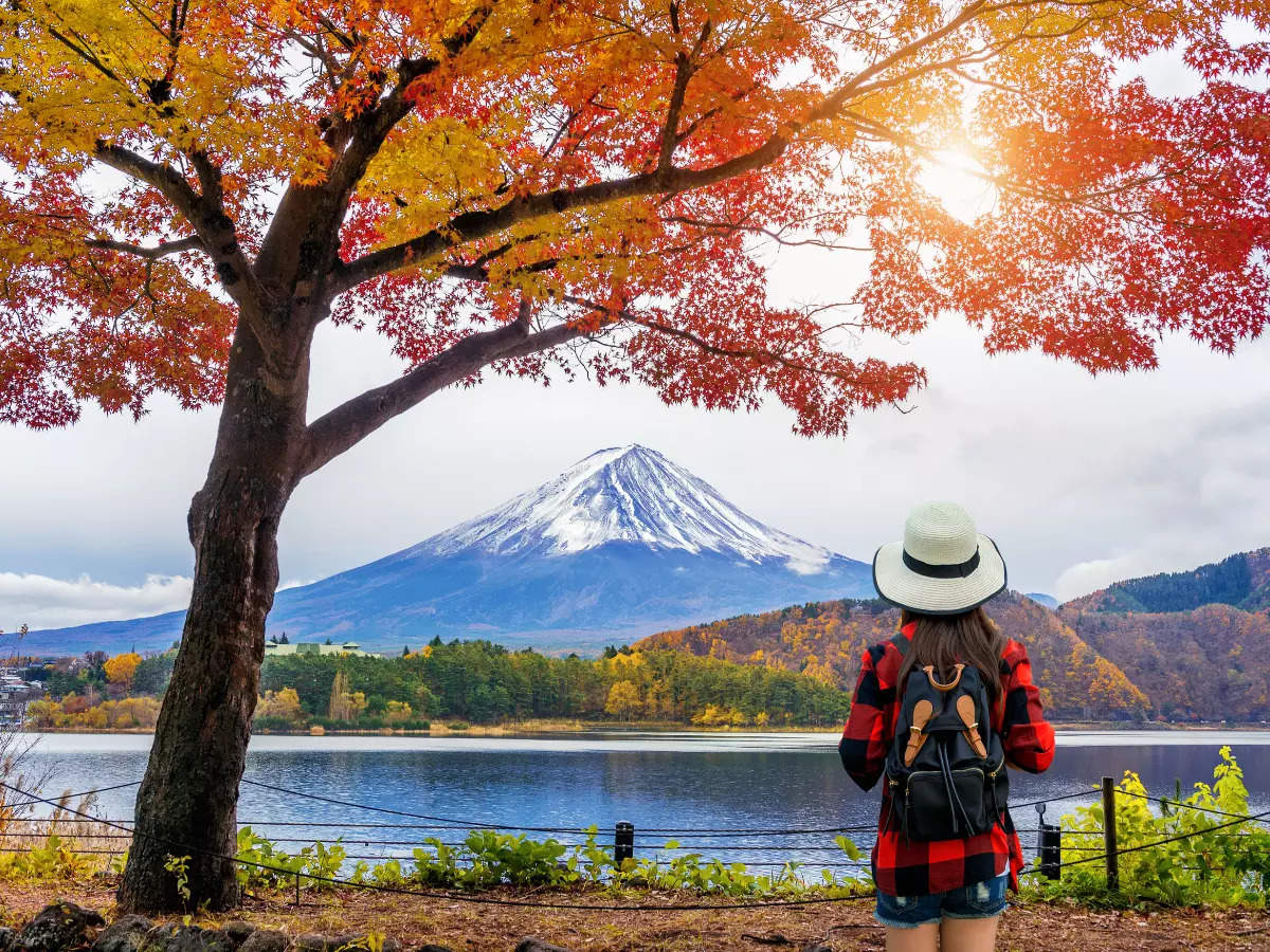 Japan likely to resume visa-free tourist travel in October