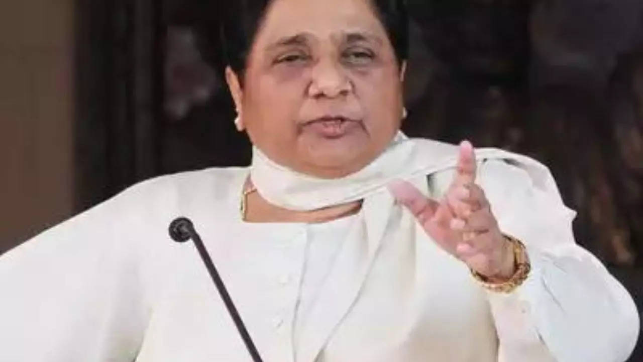 BSP national president Mayawati. (File image)