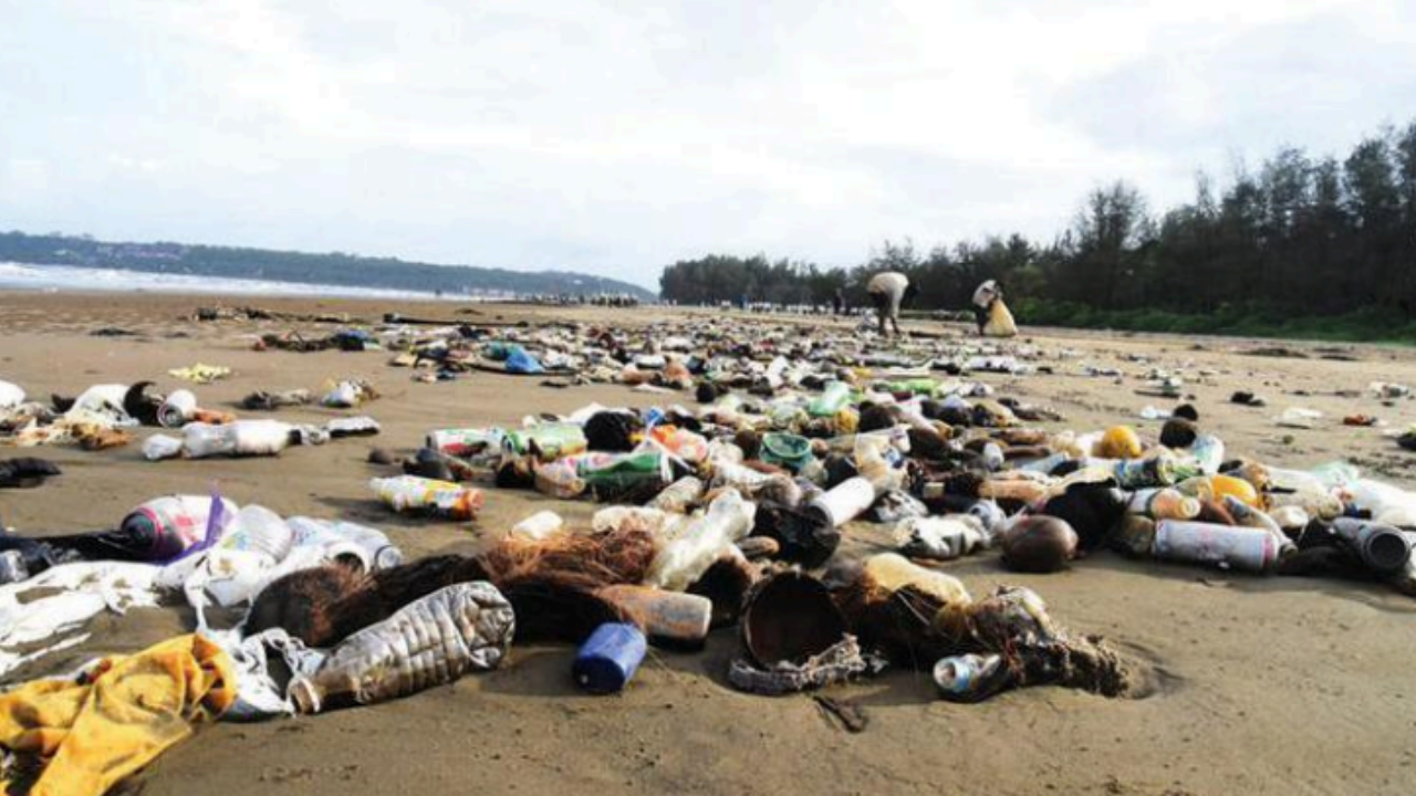 A lot of garbage was collected across beaches in the state 