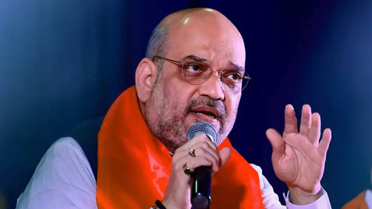 Union home minister Amit Shah's secret survey team of B-schoolers holds the  pulse | Hyderabad News - Times of India