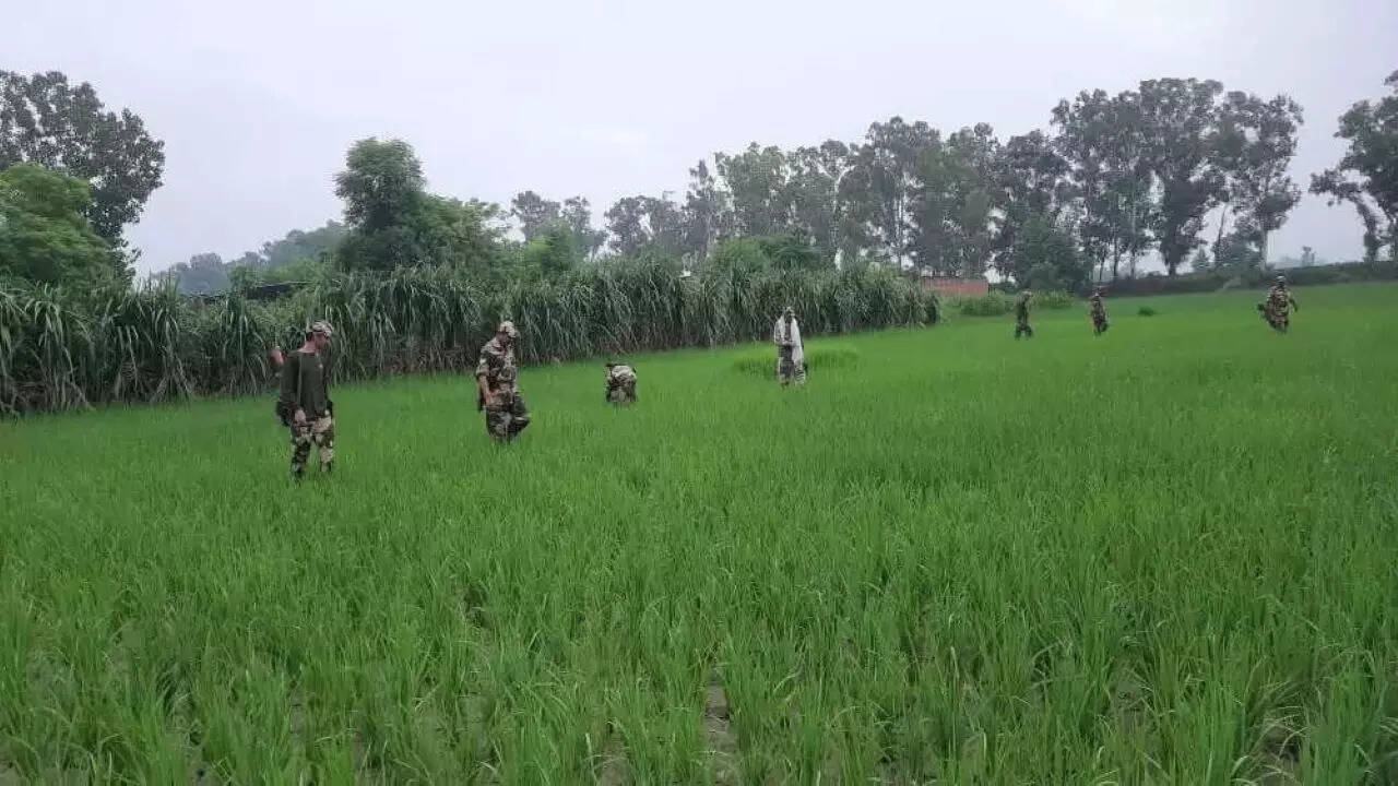 Hall Gate, Amritsar Map, Property Rates, Projects, Photos, Reviews, Info