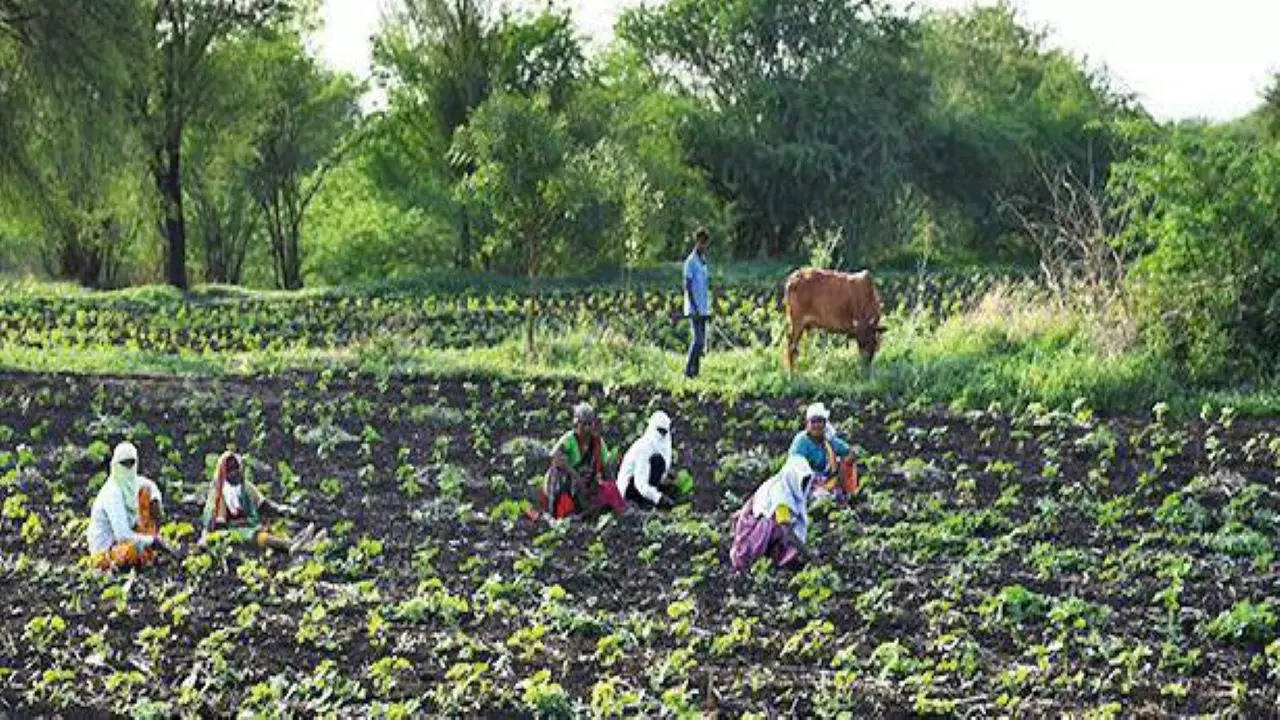 The agriculture college will have an intake capacity of 60 students