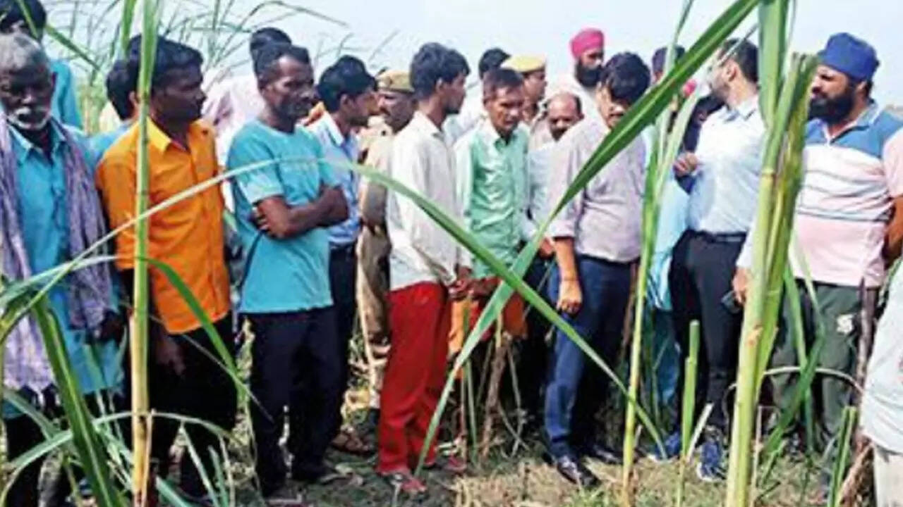 Green Park Colony, Bareilly Map, Property Rates, Projects, Photos