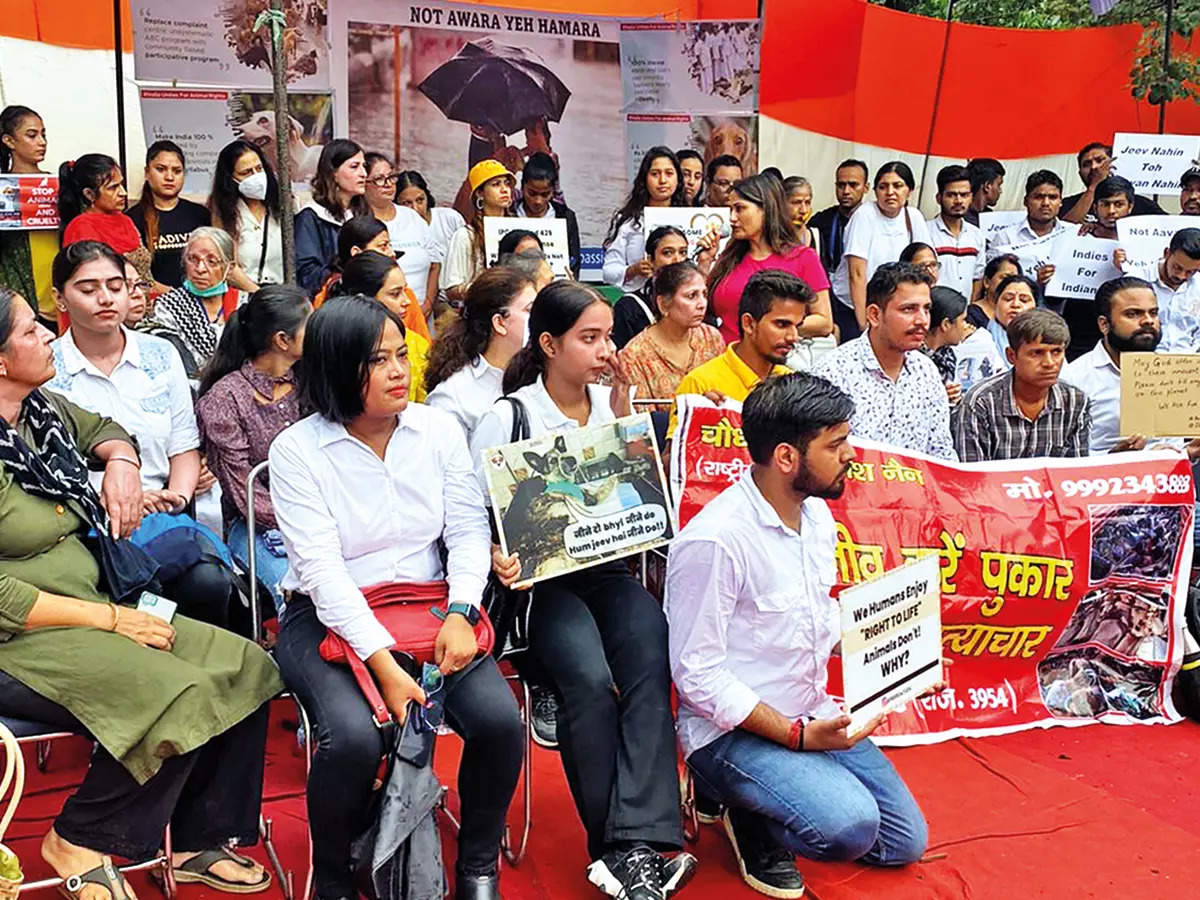 Animal rights activists protest against dog cruelty, hold rally at Jantar  Mantar | Events Movie News - Times of India