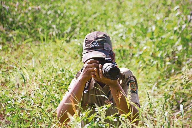 Forest guard Nilam Baghaye, who is passionate about wildlife photography, can now identify odonates easily and observe them in her beat actively