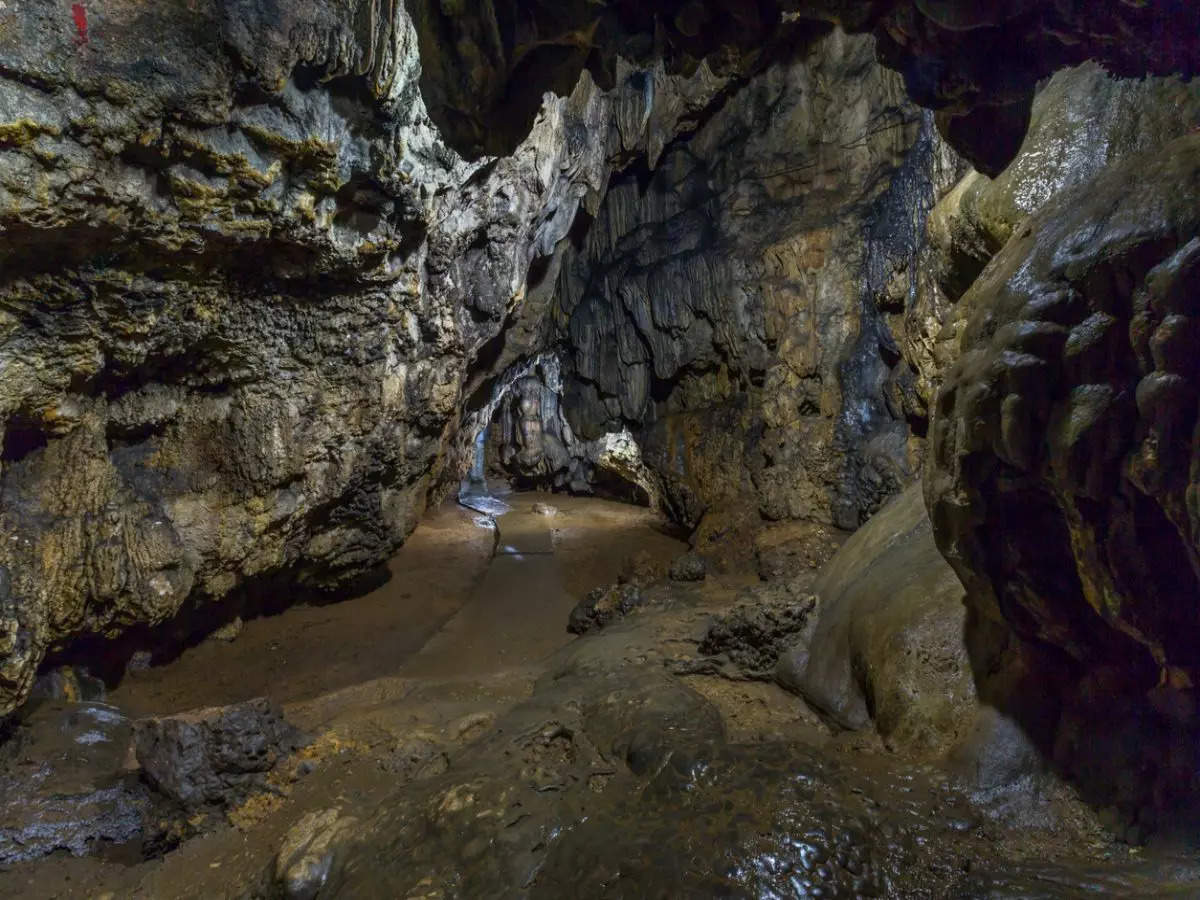 Mawmluh Cave in Meghalaya listed as UNESCO’s ‘First 100 IUGS Geological Sites’