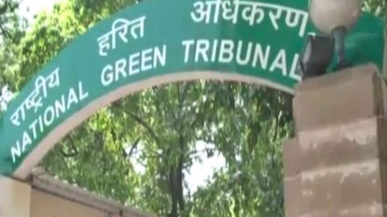 The NGT directed that the compensation be deposited with the district magistrate, Gautam Budh Nagar, within one month. (File Photo)